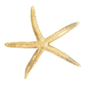 Oceano Stromboli - starfish brass knob - Accessories by Il Bronzetto