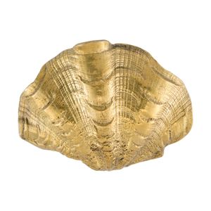 Oceano Scallop - seashell brass knob - Accessories by Il Bronzetto