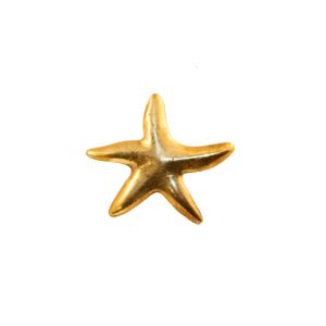 Oceano Linosa - starfish brass knob - Accessories by Il Bronzetto