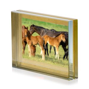 I Ricordi cornice decoro foglia oro 12×9 cm - Styling by Ivv