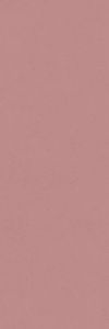 Intonaco Matte Coral Decor 10x30 - Wall tile-stone-brick by Kale