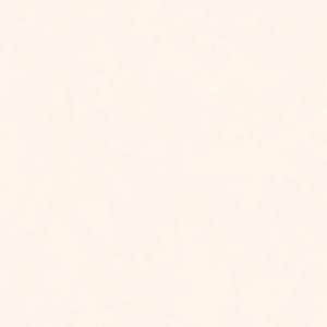 Intonaco Matte White Porcelain Tile 120x120 - Wall tile-stone-brick by Kale