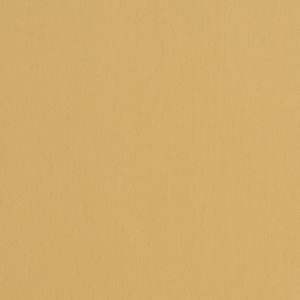 Atlas 002 Plantain - Curtain by Knoll Textiles