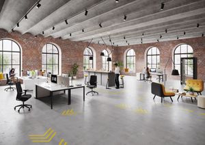 BASIC.4 - Chair by König Neurath