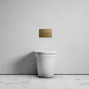 Berkeley Traditional Back to Wall Rimless Toilet with Concealed Cistern and Square Flush Plate - Toilet seat by LUSSO