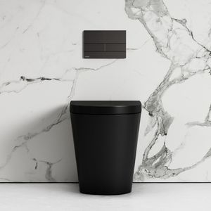 Nera Matte Black Back To Wall Toilet With Concealed Cistern Frame And Square Flush Plate - Toilet seat by LUSSO
