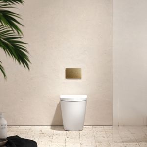 Senza Back To Wall Rimless Toilet with Concealed Cistern and Round Flush Plate - Toilet seat by LUSSO