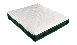 Body Trainer Mattress - Mattress by Manifattura Falomo
