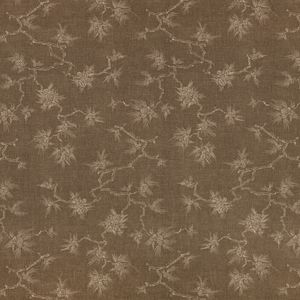 Bonsai Cumin - Curtain by Mark Alexander