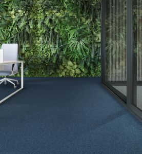 First Forward 573 - Carpet by Modulyss