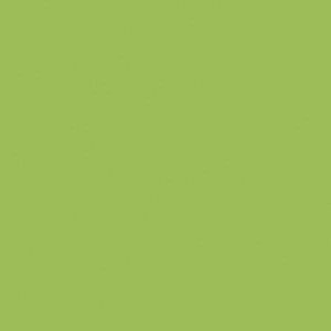 Mosa Macaw Green Tile 4 x 4 inch - Wall tile-stone-brick by Mosa