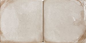 Bottega Tico Bianco - Wall tile-stone-brick by Nanda Tiles