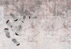 Pink Feathers - Wallcovering by Officinarkitettura®