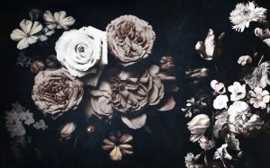 Roses - Wallcovering by Officinarkitettura®