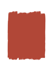 Rosa Canina T31 P.300 Wall Paint - Wall Paint by Paint Up