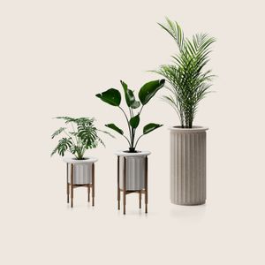 Maputo - Accessories by Paolo Castelli