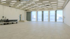 REPAVING OF INDUSTRIAL PREMISES - Accessories by Pave and Go