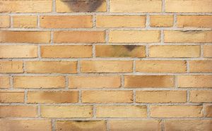 D31 - Wall tile-stone-brick by Petersen Tegl