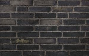 D58 - Wall tile-stone-brick by Petersen Tegl