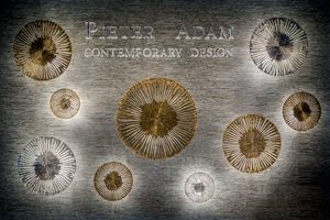 Le Soleil - PA 200-Le Soleil wall lamp - Wall lamp by Pieter Adam