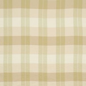 Lemongrass Plaid Cotton Upholstery Fabric - Accessories by Robert Allen