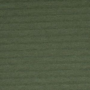 Spearmint Solid Upholstery Fabric - SINGLE FILE - Accessories by Robert Allen