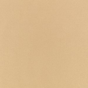 Elio Fudge - Curtain by Romo