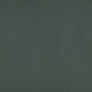 Elio Ivy - Curtain by Romo