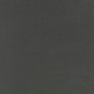 Elio Onyx - Curtain by Romo