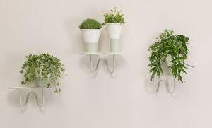 Mimosa - Plant holder - wall mounted - S•CAB - Accessories by Scab Giardino spa