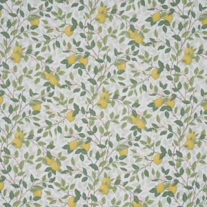 CitrontrÄd Ivory And Leaf - Curtain by Schumacher