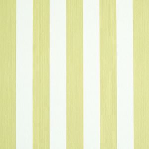Edwin Stripe Medium Citron - Wallcovering by Schumacher