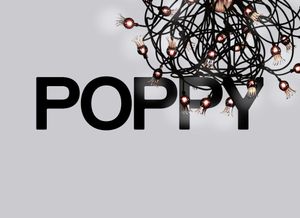 POPPY - Ceiling lamp by Serien