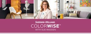 How Play Can Inspire Paint Color Selection - Wall Paint by Sherwin Williams