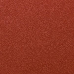 V47 - Topstar - Accessories by Sitness