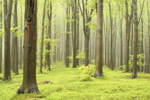 SUSTAINABILITY - Accessories by Steel srl