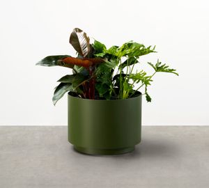 Drum Planter | Stylish Contemporary Indoor-Outdoor Planter - Outdoor furniture by Tait