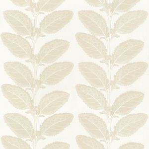 LACINATO - Wallpaper by Thibaut