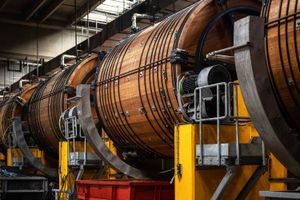 The Indispensable Role of Fungicides in Wet Blue Leather Production | THOR - Accessories by Thor Global Co. ltd