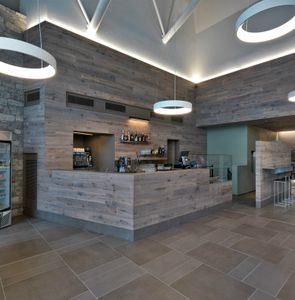 hoop suspension - Ceiling lamp by Tossb