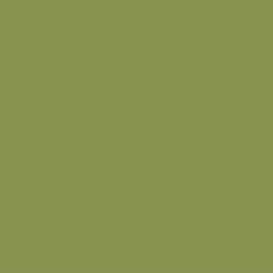 Paint Color Military Green #89934E | VERNICE ITALIA - Accessories by Vernice