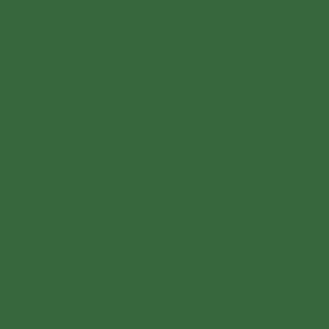 Paint Color Pine Green #44673E | VERNICE ITALIA - Wall Paint by Vernice