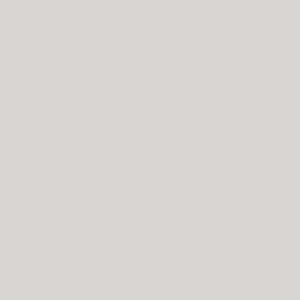 Pittura Colore Grigio Fungo | Vernice Italia - Accessories by Vernice