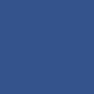 Pittura Colore Immersive Bijou | Vernice Italia - Accessories by Vernice