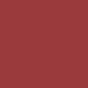 Pittura Colore Picante | Vernice Italia - Accessories by Vernice