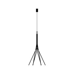 Treelight — Vertigo Bird - Accessories by Vertigo Bird