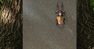 Wolf-Gordon - PVC-Free - Accessories by Wolf-Gordon