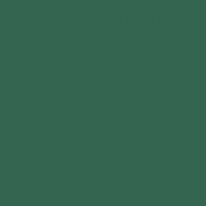 RAL 6000 Patina Green Aerosol Spray Paint 1K/2K 400ml - Wall Paint by Your Spray Paints