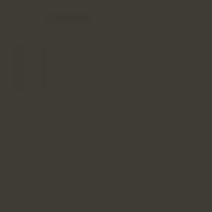 RAL 6006 Grey Olive Aerosol Spray Paint 1K/2K 400ml - Wall Paint by Your Spray Paints