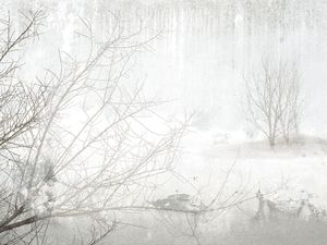 Home Digital Panels M23074 - Wallpaper by Zambaiti Contract